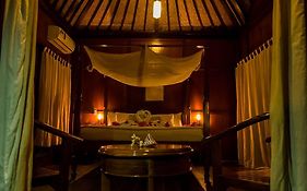 The Barefoot At Havelock